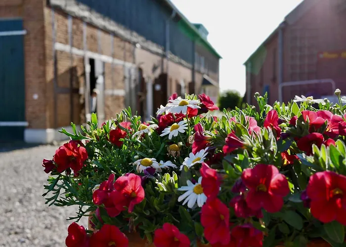 Knusthof - 3 Albertsdorf